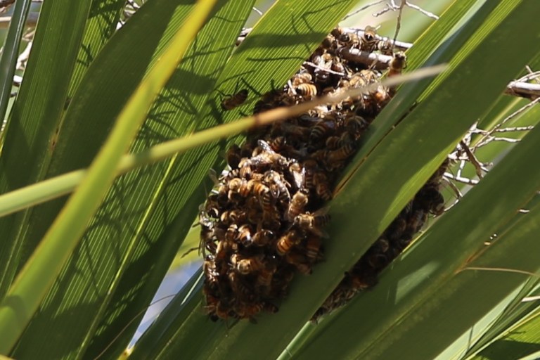 IMG_9159 - Version 2